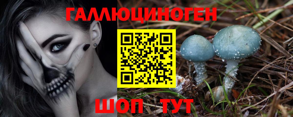 Псилоцибиновые грибы MAGIC MUSHROOMS Тула